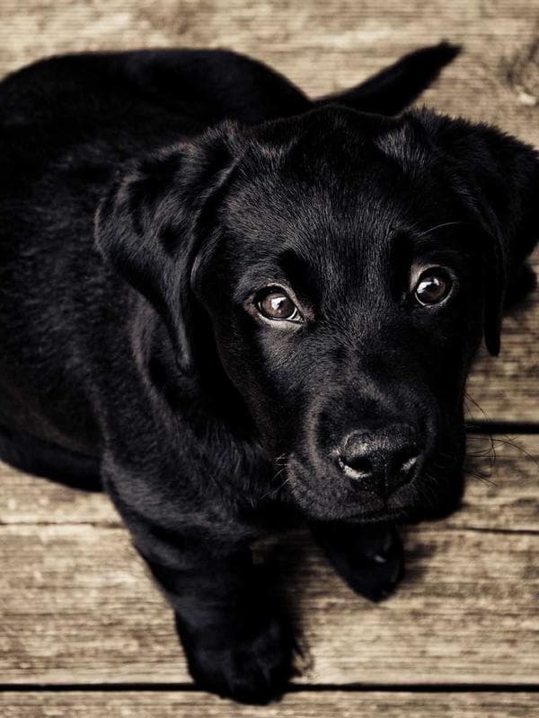 Autumn Private Dinner