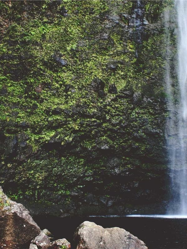 Annual Warehouse Visit